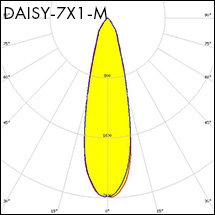 DAISY-7X1-M_polar